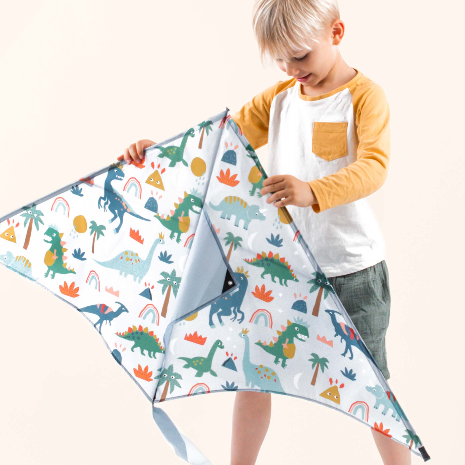 Young boy playing with Dino Danger kite