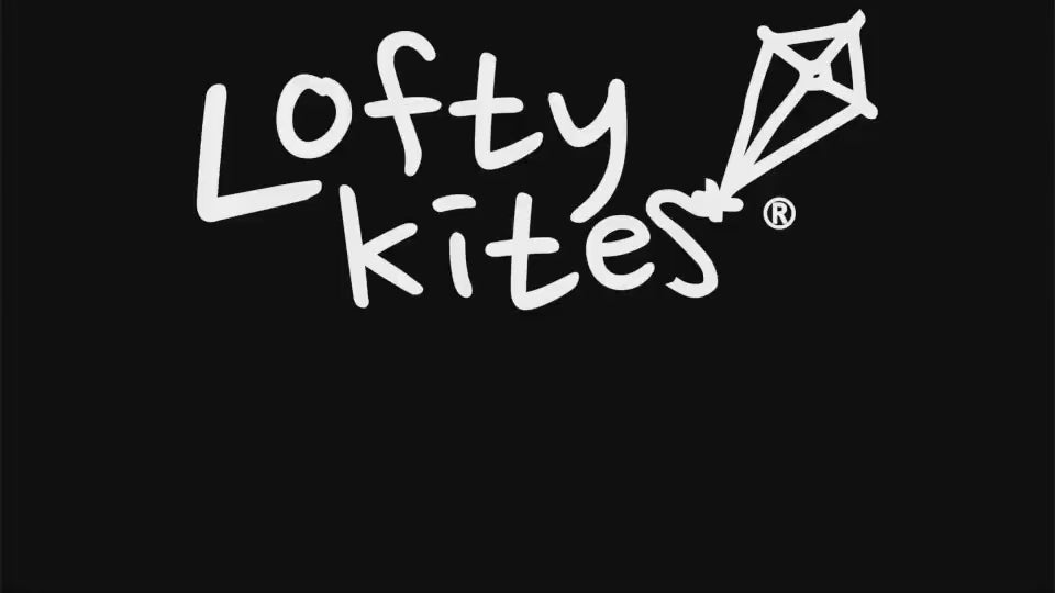 Load video: Kids playing with Lofty Kites on the beach